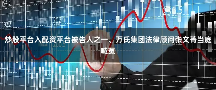 炒股平台入配资平台被告人之一、万氏集团法律顾问张文菁当庭喊冤