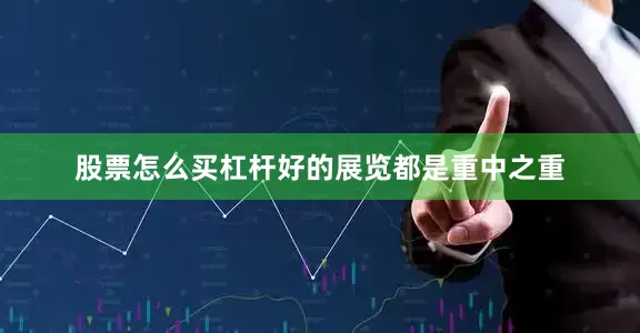 股票怎么买杠杆好的展览都是重中之重